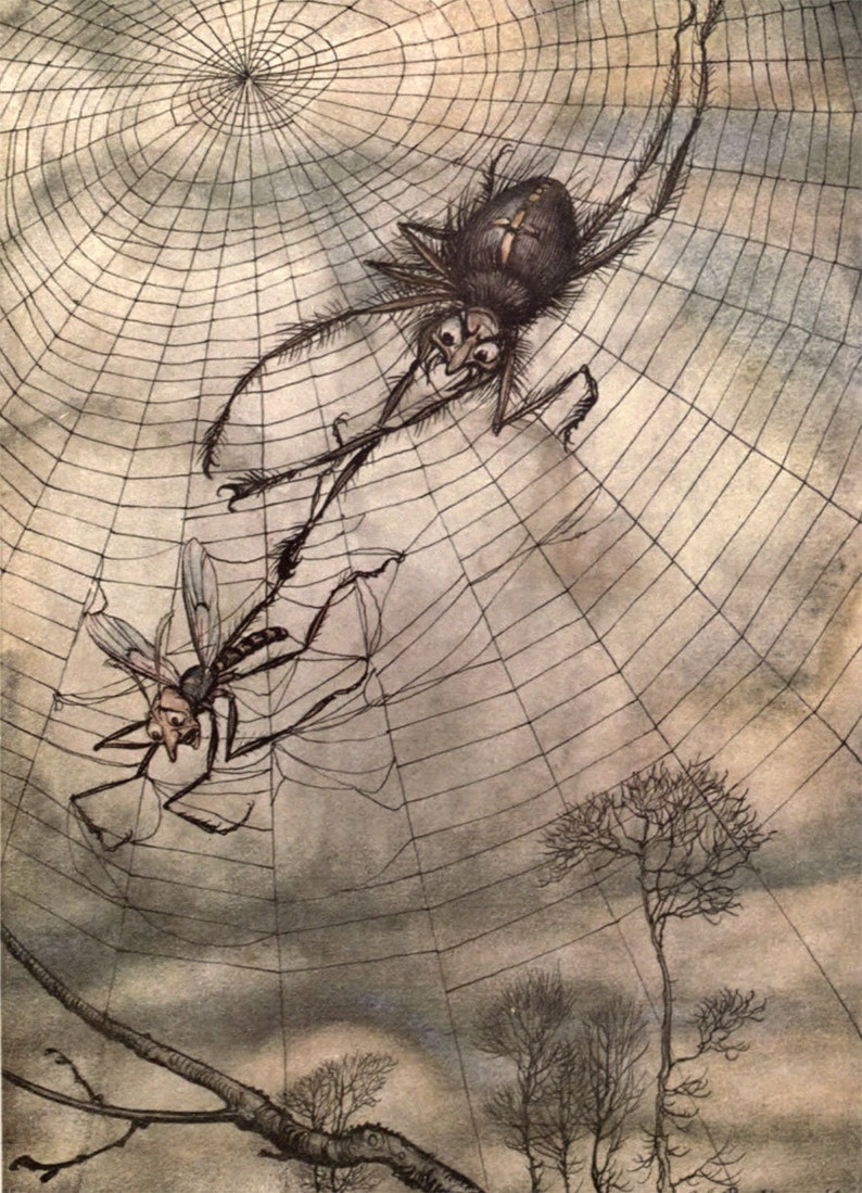 Arthur Rackham - Fantasy Art and Illustrations - 24 Trading Cards Set ...