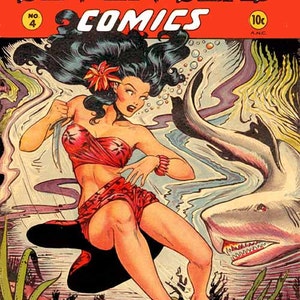 Matt Baker – Comic-Kunst-Sammelkarten – Fantasy- und Cover-Art-Illustrationen – 24-Karten-Set – Geschenkkollektion Golden Age Comics