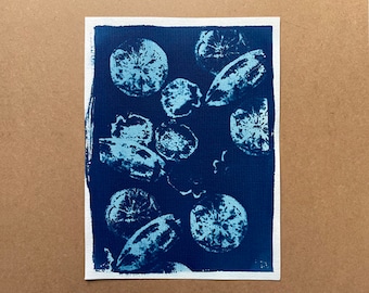 Blue cyanotype on Lemons paper Unique piece