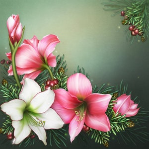 Vintage Holiday Digitally-Painted Pink & White Amaryllis Christmas Design Resource