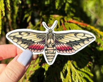 Hawk Moth Deaths Head Moth Vinyl Sticker