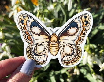 Saturn Silk Moth Butterfly Vinyl Sticker