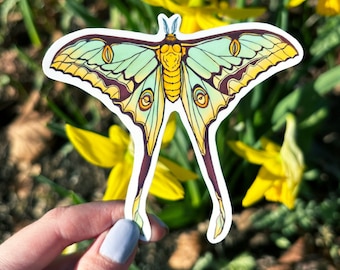 Comet Moth Luna Moth Vinyl Sticker