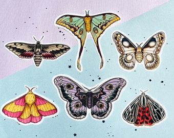 Moth Butterfly Insect Vinyl Sticker Pack