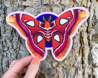 Atlas Moth Vinyl Sticker