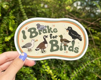 Brake for Birds Crow Vinyl Bumper Sticker