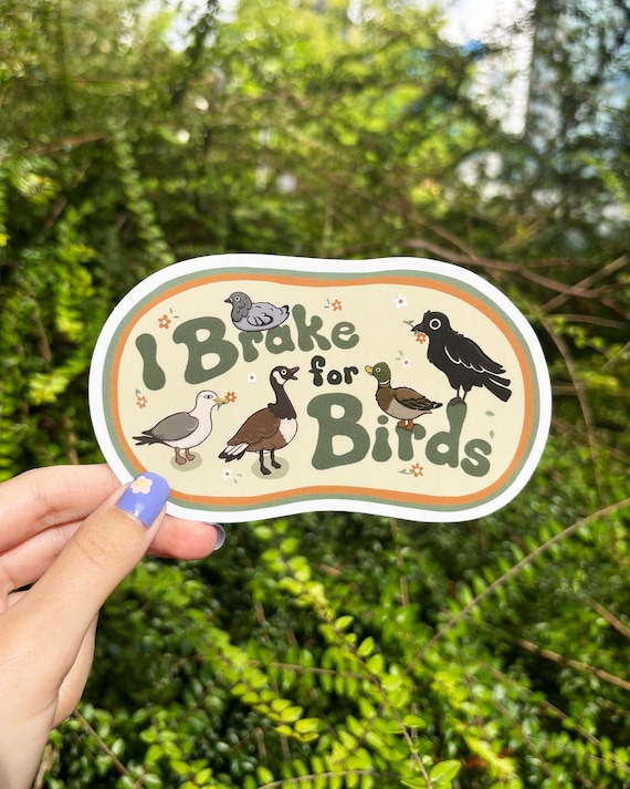 Brake for Birds Crow Vinyl Bumper Sticker - Etsy