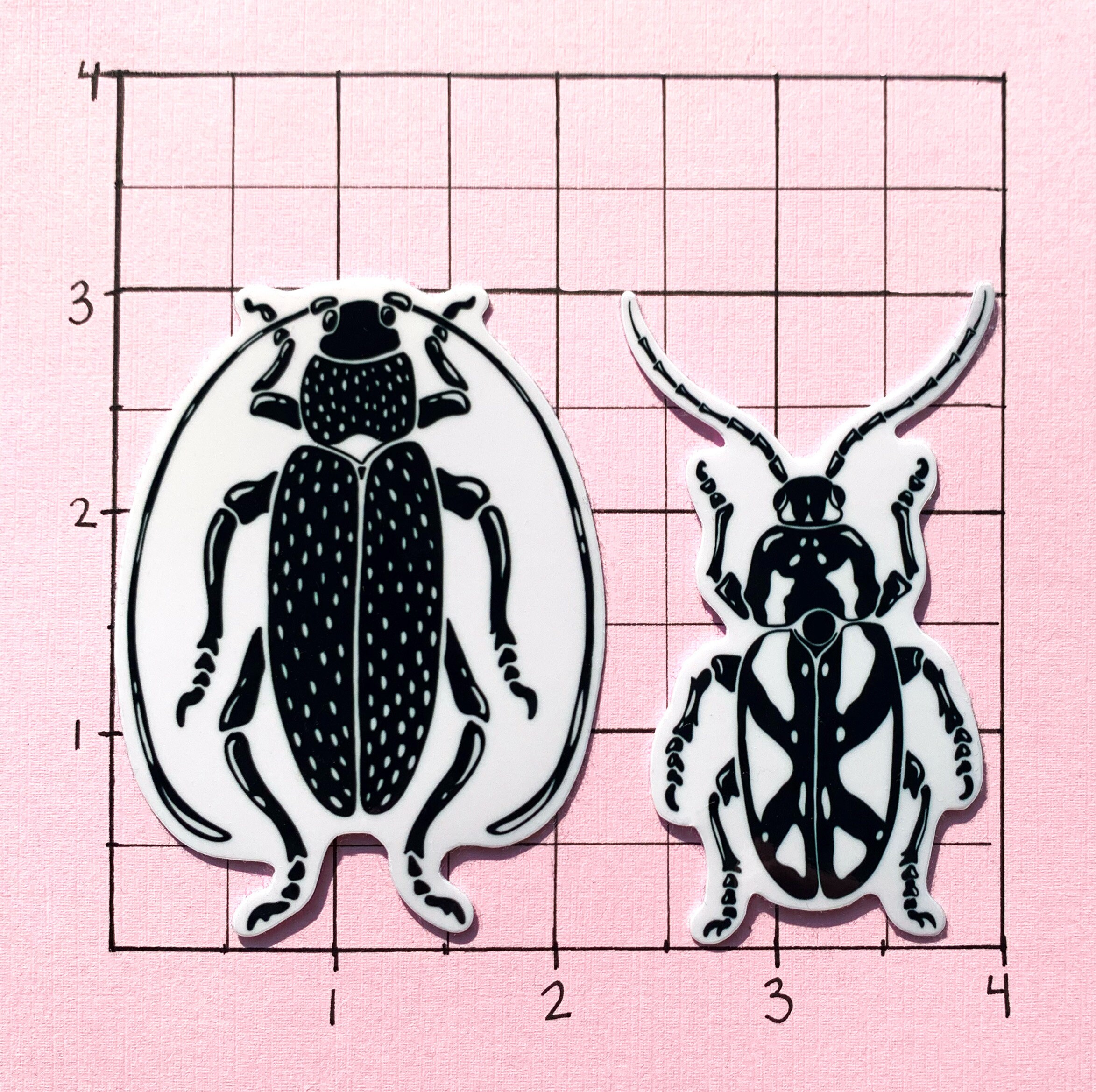 Beetle Insect Bug Vinyl Sticker Pack - Etsy Canada