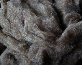 Medium Brown moorit heather natural color wool roving from our USA farm sold by the oz. undyed American wool