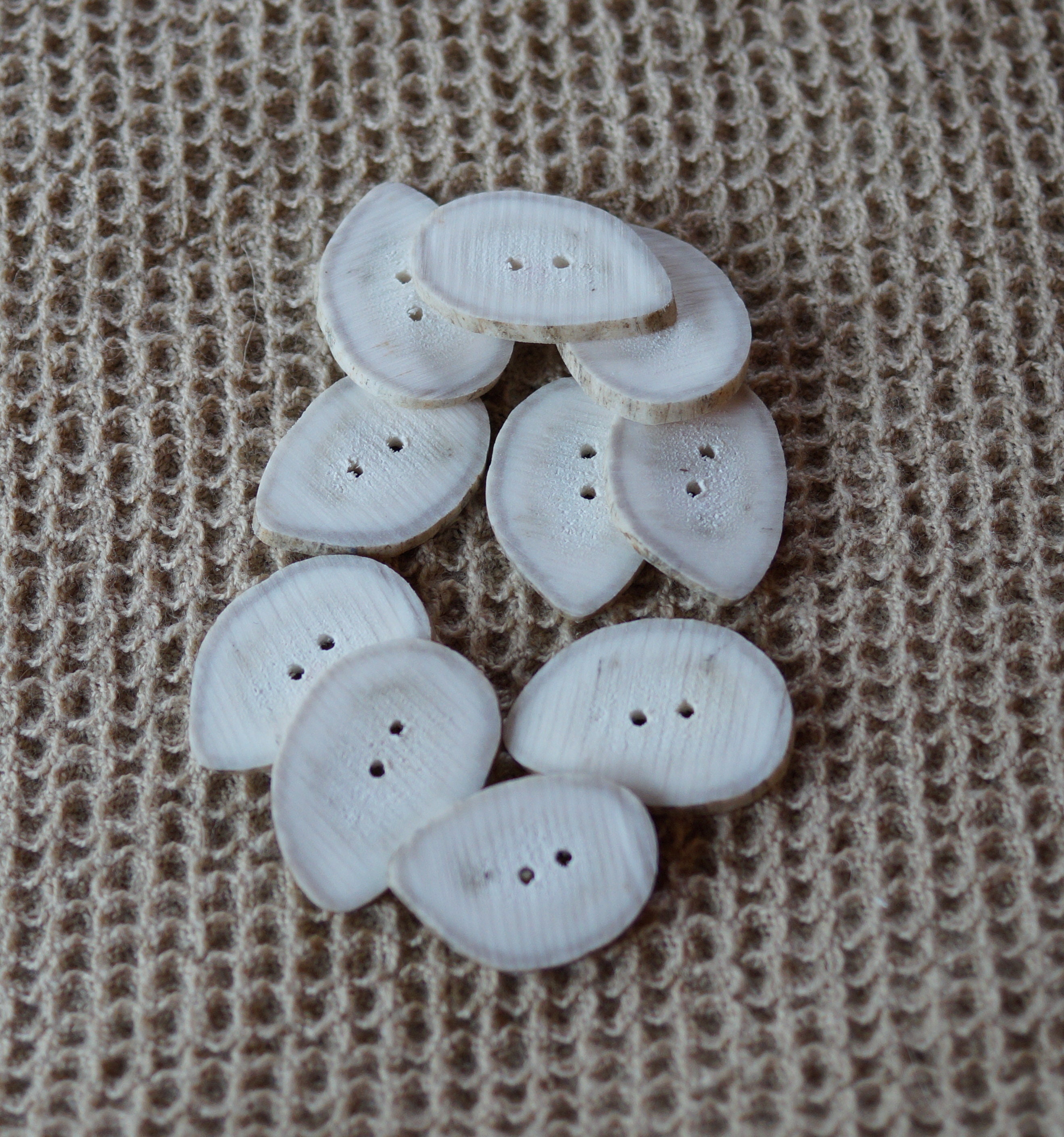 Horn Button Deer Antler slice buttons 3/4 inch diameter. Hand made by