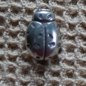 May include: A silver ladybug charm with detailed markings. The charm is on a textured beige surface.