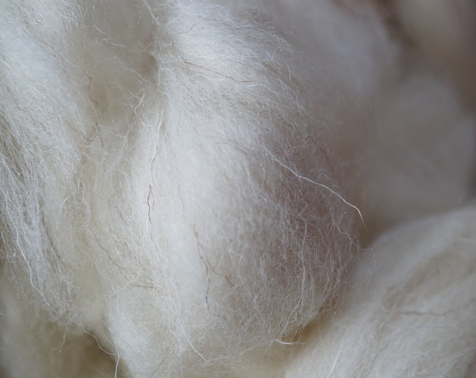 Welsh wool top, white heritage breed, undyed wool for spinning, 8 oz bag