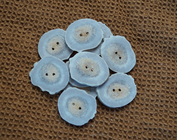 Antler buttons-large round or oval hand made in the USA