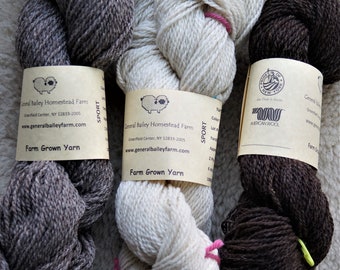 Sock Pack sport weight 3 natural colors 600 yard pack