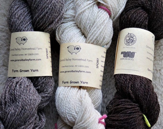 Sock Pack sport weight 3 natural colors 600 yard pack