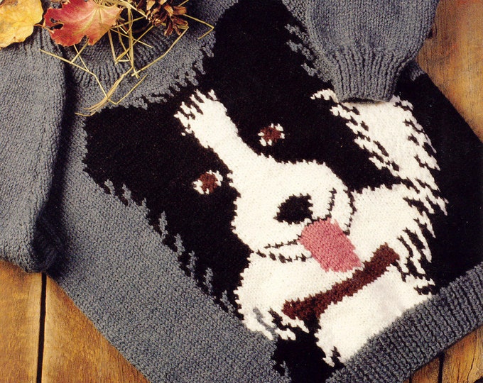 Border Collie or Sheep knitting pattern book design on front and back of sweater