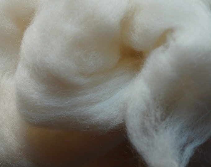 Shetland wool top undyed natural white