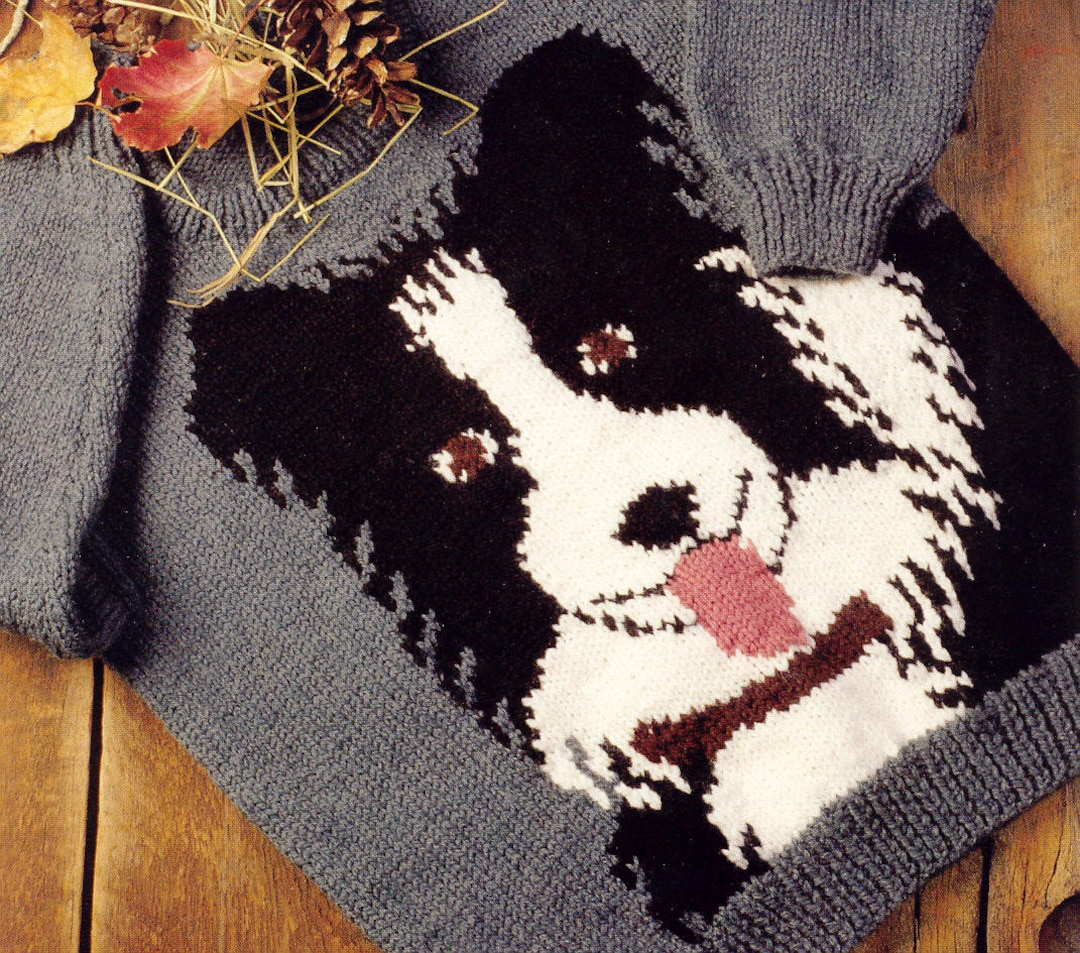 Border Collie Knitting Pattern Book From Bernat Family Sizing