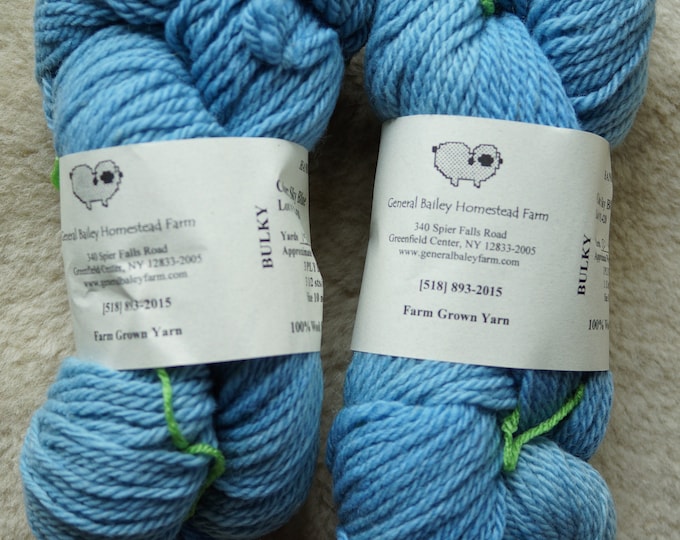 Sky Blue bulky wool 2 ply kettle dyed farm yarn from our American farm