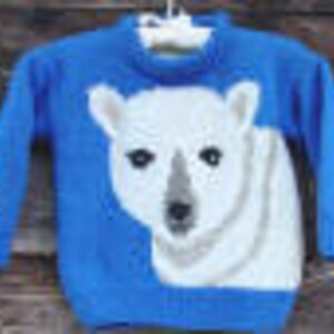 May include: A blue knitted sweater with a white polar bear design on the front.