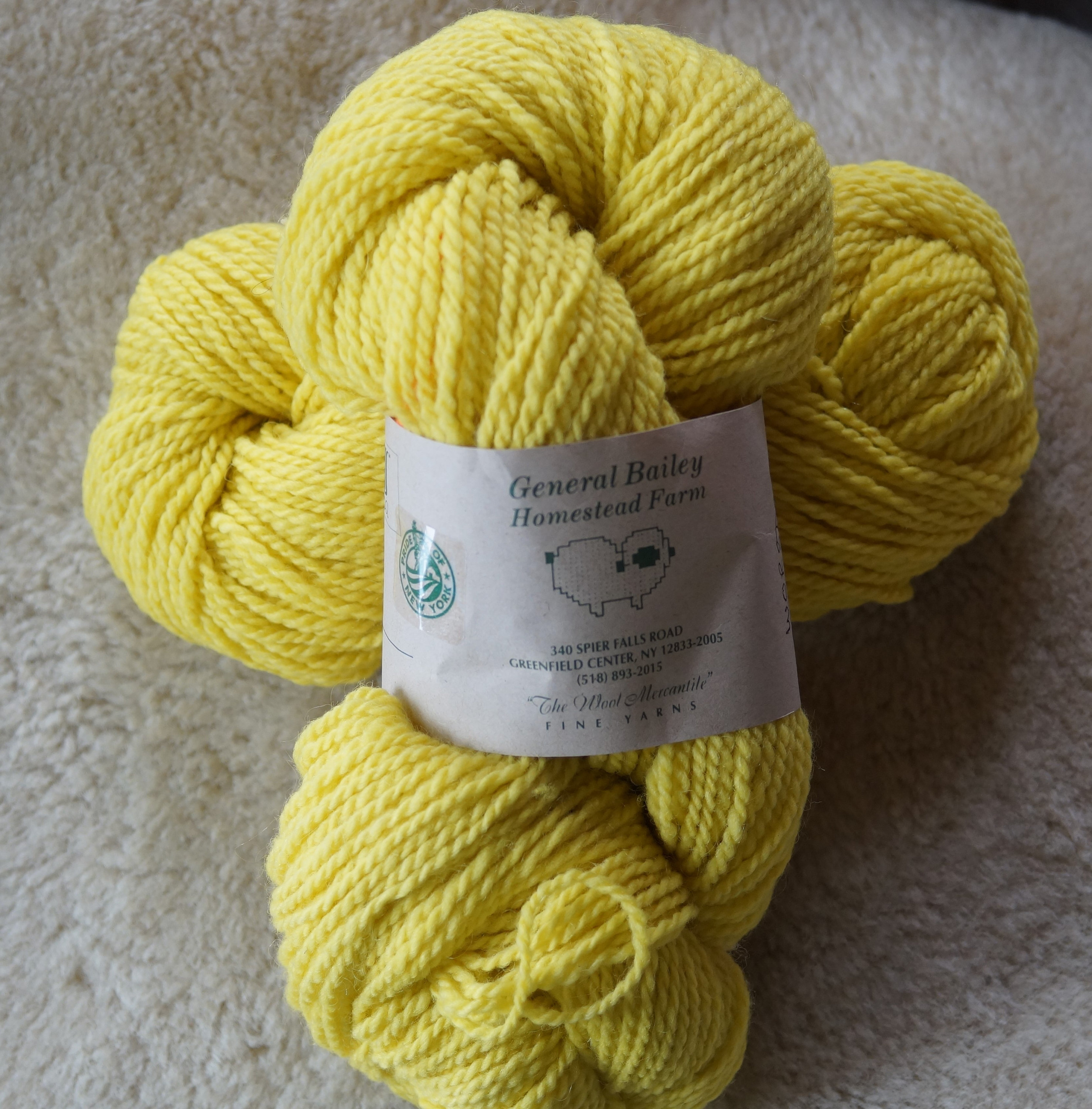 Buttercup worsted 2 ply soft wool hand dyed farm yarn, free shipping