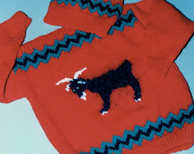 Country's Child Bucky the goat child's knit boat neck pullover