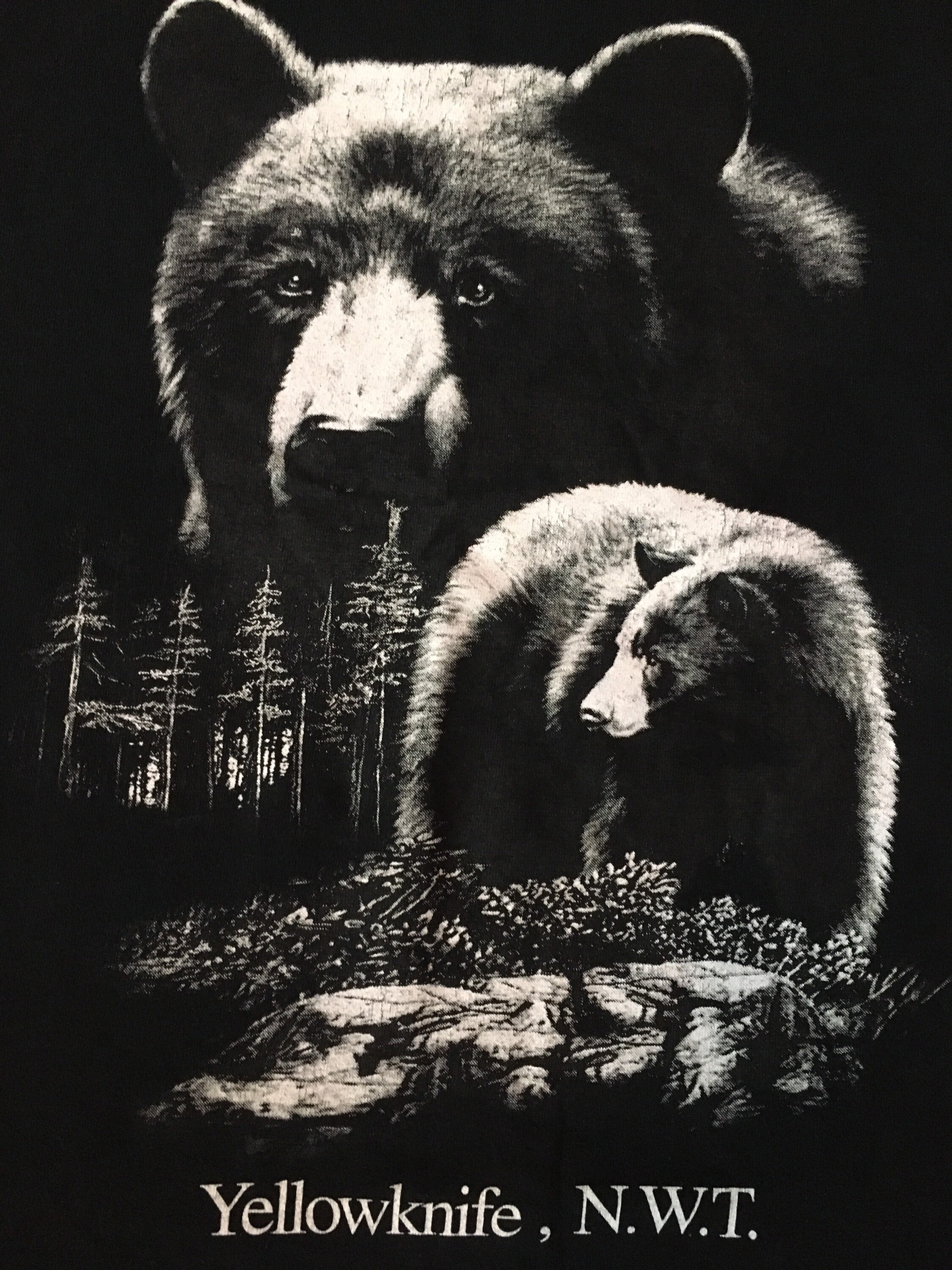 Vintage 90s Yellowknife NWT Canada Tourist Souvenir Bear Small Etsy