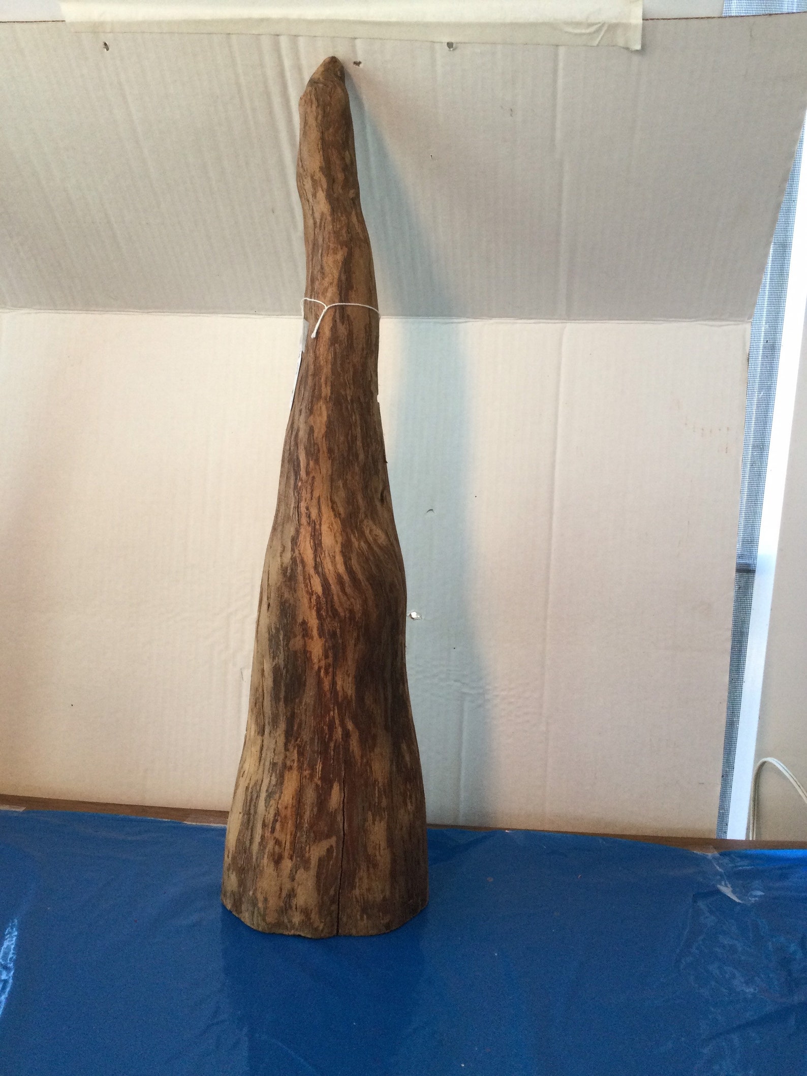 Cypress knee . 381 Etsy