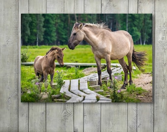 Horse Photography, Horse Prints Large Canvas Wall Art Prints, Horse Wall Decor, Nature Photography