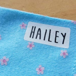 May include: A light blue fabric featuring a repeating pattern of small pink flowers. A rectangular white label is attached to the surface, displaying the name HAILEY printed in bold, black, sans-serif capital letters across the center.