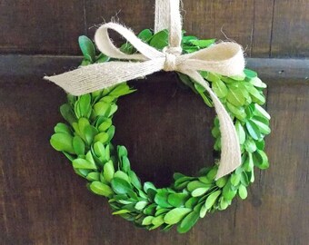 Small Preserved Boxwood Wreath w/ Burlap Ribbon-Christmas Wreath-Farmhouse Wreath-Mini Wreath-Christmas Decor-Holiday Decor-Choose Size