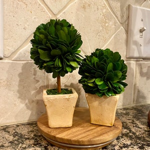 Mini Preserved Boxwood Topiary Tree/Ball in Rustic Terra Cotta Pot-Farmhouse Plant-Tiered Tray Shelf Table Decor-CHOOSE DESIGN