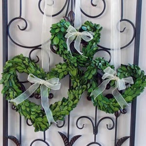 6" 8" 10" Small Preserved Boxwood Heart Valentines Day Wreaths with Ribbon-Small Heart Wreaths-Mini Valentine Day Wreath-Farmhouse Wreath