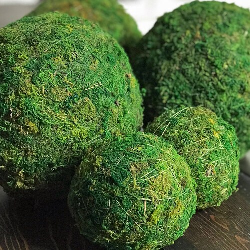 Moss Ballsdecorative Sphere Orb for Vase Bowl Fillers or Etsy