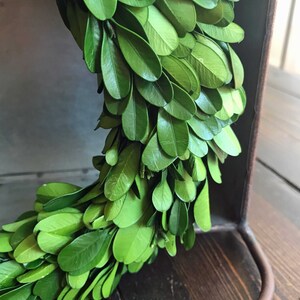 May include: A green boxwood wreath with lush, vibrant leaves. The wreath is displayed in a metal container with a wooden handle.