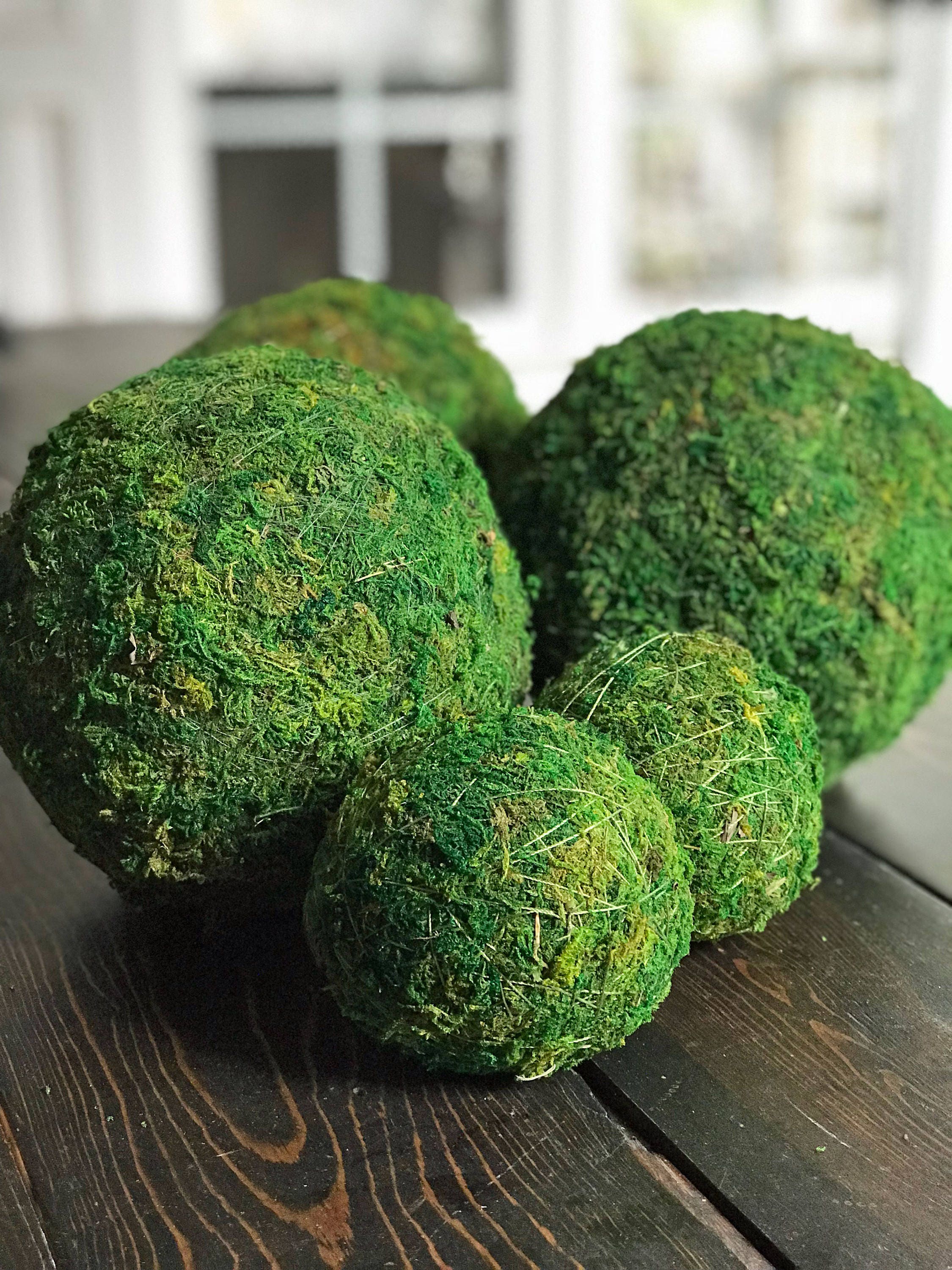 NUOLUX 2pcs Preserved Moss Decorative Moss Balls Decor Balls Green Moss  Decor Indoor Ornaments 