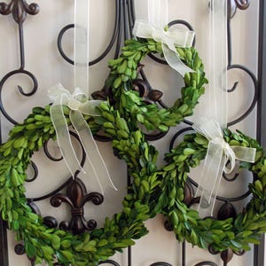 Preserved Mini Boxwood Wreath, Simple Spring Wreath, Spring Wreath