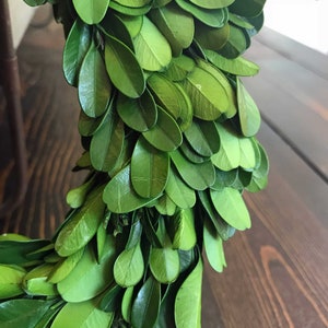 May include: A close-up of a green boxwood wreath with lush, vibrant leaves. The wreath is made of natural boxwood branches and is perfect for adding a touch of greenery to any space.
