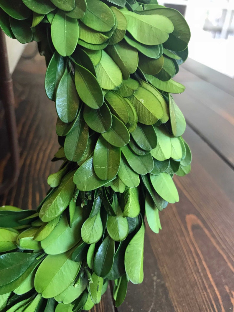 May include: A close-up of a green boxwood wreath with lush, vibrant leaves. The wreath is made of natural boxwood branches and is perfect for adding a touch of greenery to any space.