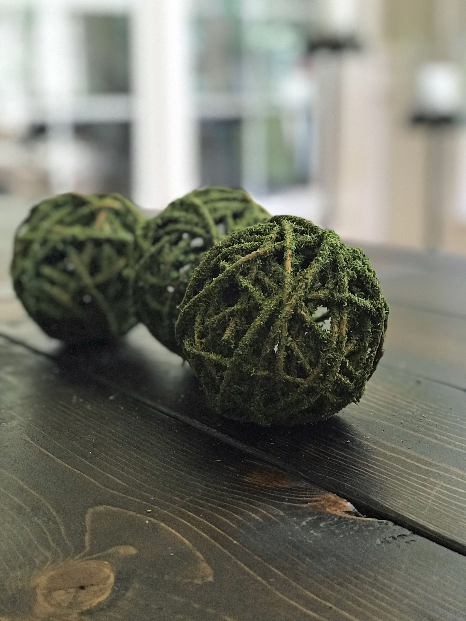 Moss Covered Curly Willow Ballsdecorative Bowl Fillerorb Decororb