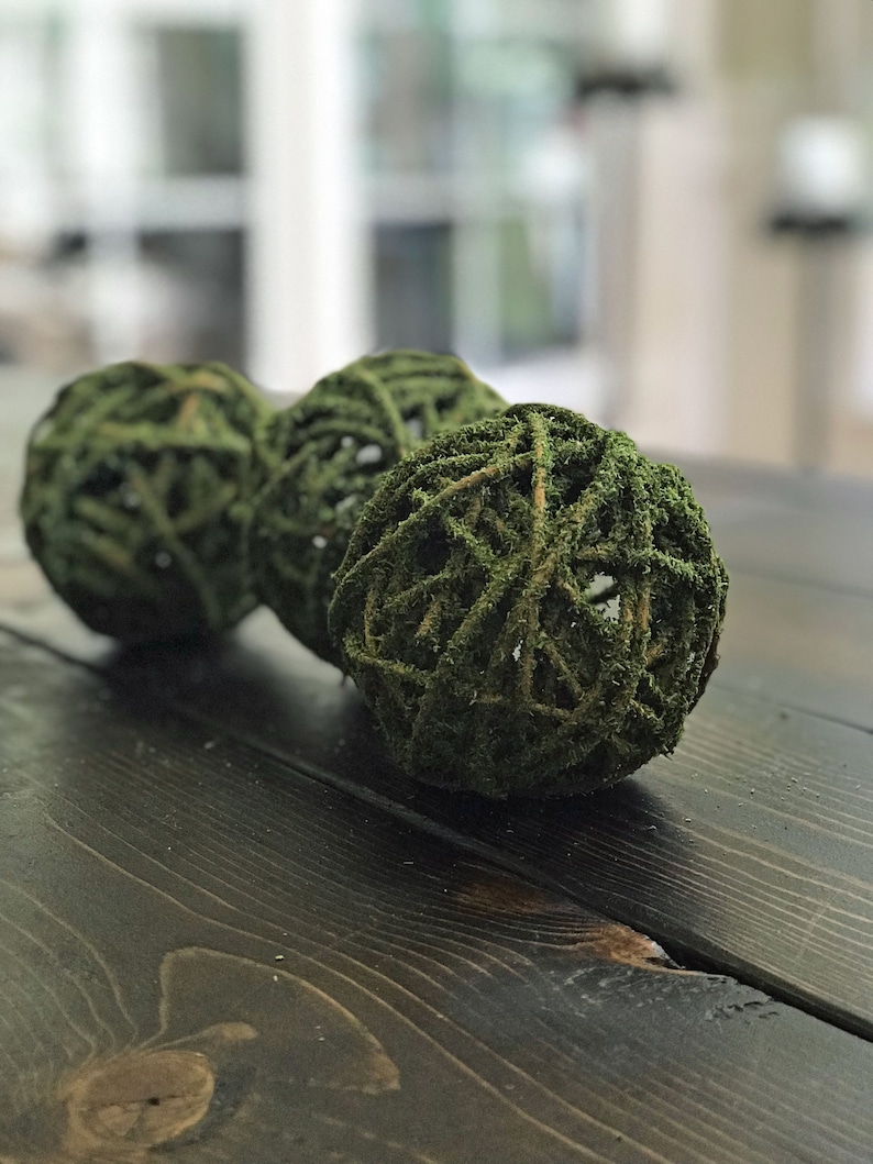 Moss Covered Curly Willow Ballsdecorative Bowl Fillerorb Etsy Canada