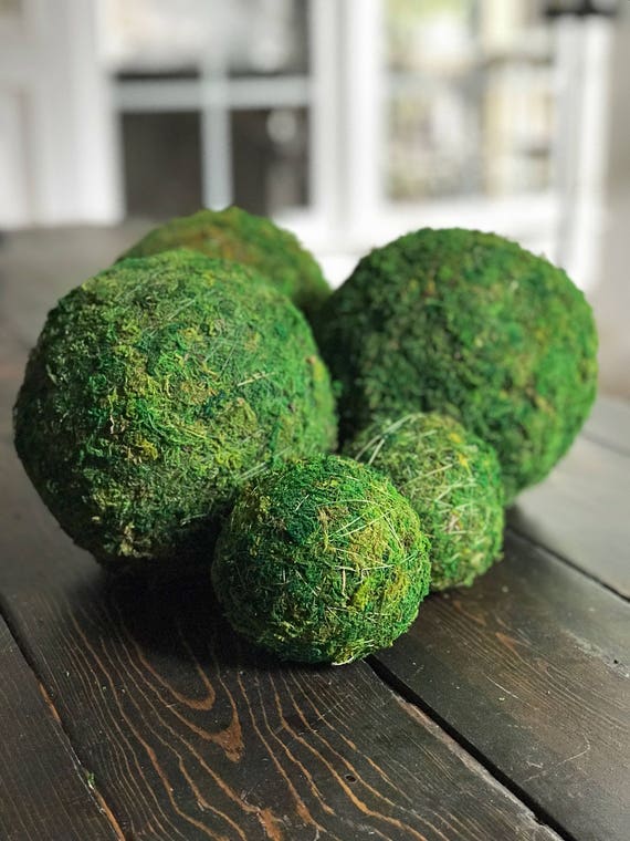 Natural Green Faux Moss Ball Decorative Bowl Filler - Set of 3 in 2023