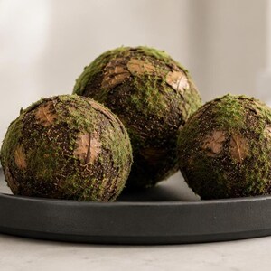 May include: Three spherical decorative objects covered in a textured layer of green moss and brown bark-like material. The spheres are arranged together on a flat, circular, matte black tray with a raised edge, creating a cohesive display.