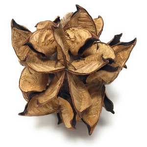 4" & 6" Decorative Cotton Pod Ball-Sphere-Orb-Farmhouse Table Decor-Bowl Fillers-Primitive Decor-Orb Decor-Rustic Decor