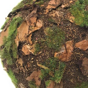 May include: A spherical decorative object covered in a textured layer of green artificial moss, scattered brown dried leaves, and dark brown soil-like particles, creating a dense, forest-floor appearance across the entire rounded surface.