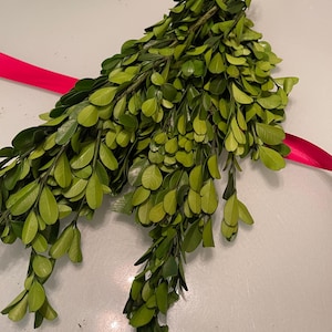 Real Preserved Boxwood Stems Branches, Spring Greenery for Mantel Vase Filler Floral Arrangement  Wedding Home Decor