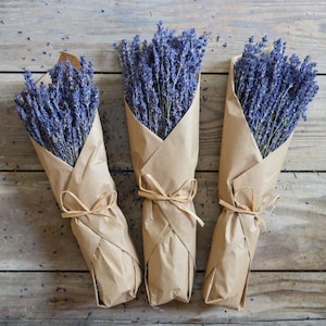 Dried Lavender Bunch/Bundle/Stems/Bouquet-Real French Fragrant Lavender-Premium Grade in Kraft Paper-Lavender Decor