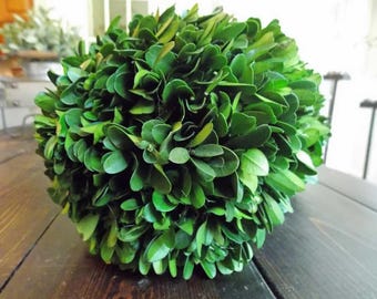 Preserved Boxwood Balls, Decorative Spheres, Boxwood Sphere, Choose Size