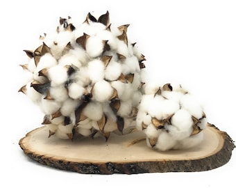 4" or 6" Cotton Ball Sphere-Cotton Decor-Decorative Ball-Bowl Fillers-Primitive Decor-Orb Decor-Farmhouse Table Decor-Rustic Decor