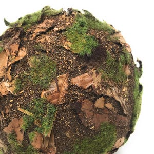 May include: A spherical object covered in a textured layer of dried brown leaves, dark brown soil-like particles, and patches of vibrant green moss. The surface has a varied, organic appearance with overlapping leaf fragments and fine green fibers.